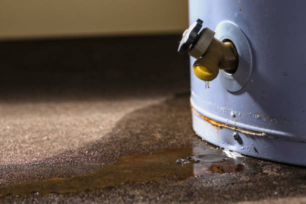 Best Professional water damage repair  in Brownwood, TX