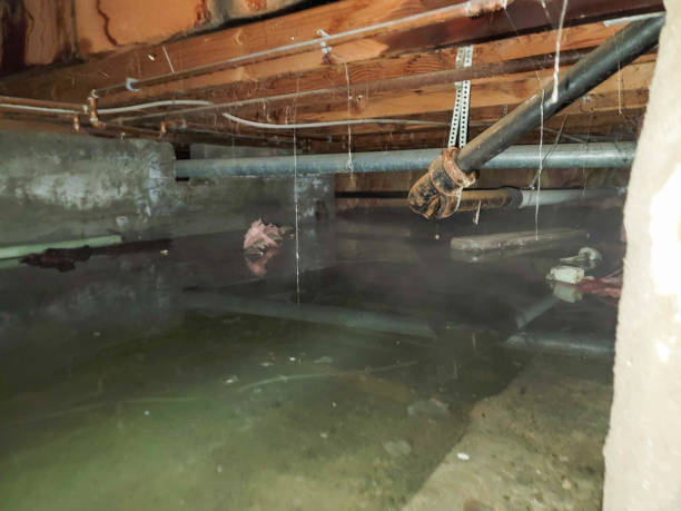 Best Water damage mitigation services  in Brownwood, TX